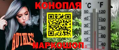 амф Обь